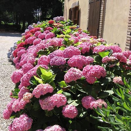 Montecorneo Country House Ponte San Giovanni Exterior foto