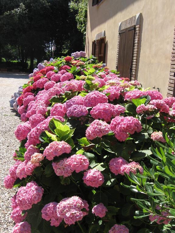 Montecorneo Country House Ponte San Giovanni Exterior foto